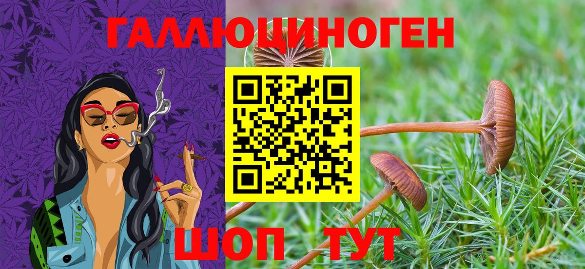 Галлюциногенные грибы MAGIC MUSHROOMS  Псилоцибиновые грибы Cubensis  Вход с VPN  купить закладку  Кизляр 