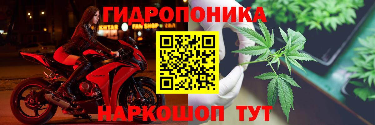 Бошки марихуана Amnesia Кизляр
