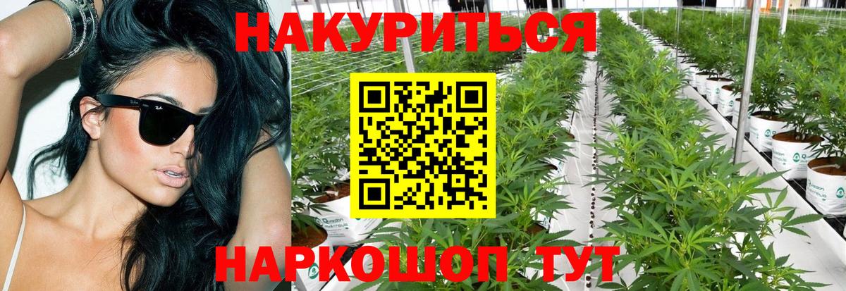 Шишки марихуана MAZAR  Вход с VPN  МАРИХУАНА OG Kush  Шишки марихуана индика  Каннабис THC 21%  Кизляр 